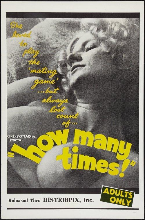 How Many Times 1969 official movie poster