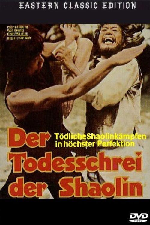 Mysterious Footworks of Kung Fu 1978 official movie poster