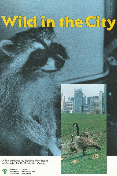 Wild in the City 1986 official movie poster
