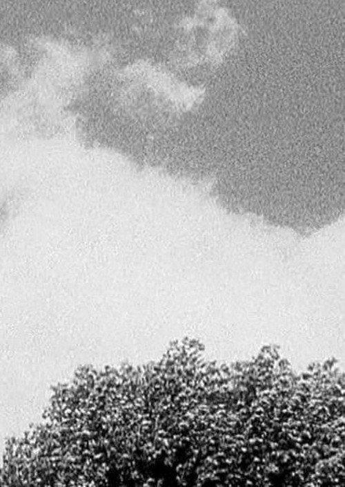Tree & Cloud 1998 official movie poster