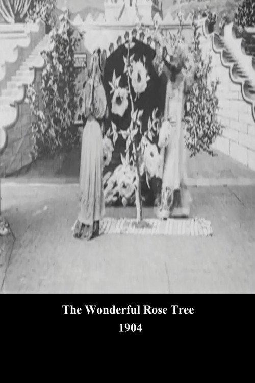 The Wonderful Rose Tree 1904 official movie poster