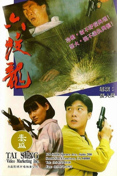 The Vengeance of Six Dragon 1992 official movie poster