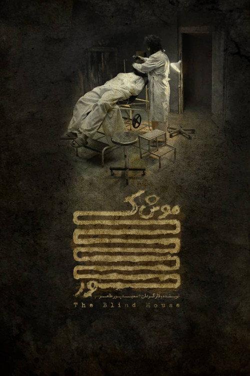 The Blind Mouse  official movie poster