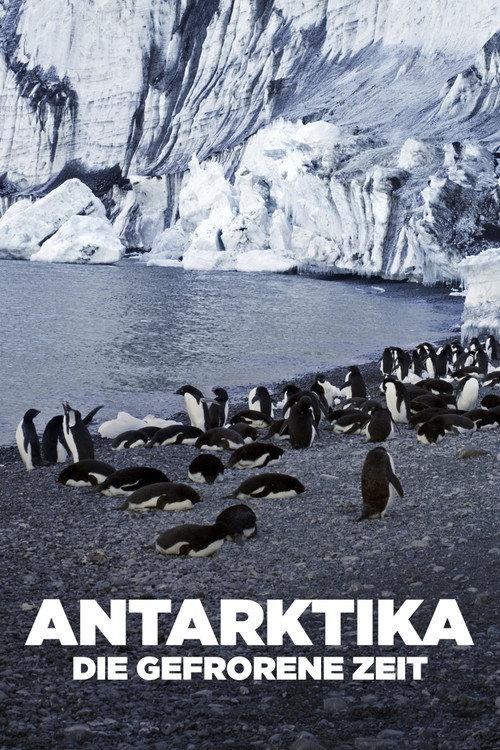 Antarctica: The Frozen Time 2021 official movie poster