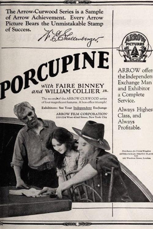 The Girl from Porcupine 1921 official movie poster