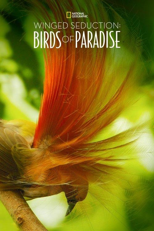 Winged Seduction: Birds of Paradise 2012 official movie poster