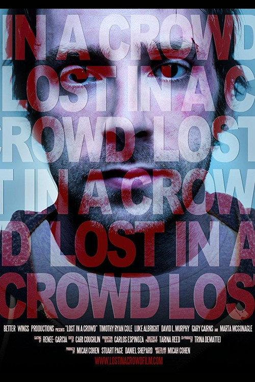 Lost in a Crowd 2011 official movie poster