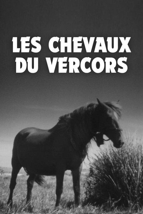 Les Chevaux du Vercors 1943 official movie poster