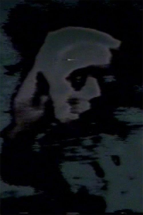 Pictures of the Lost 1978 official movie poster