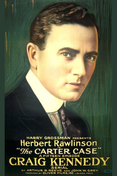 The Carter Case 1919 official movie poster