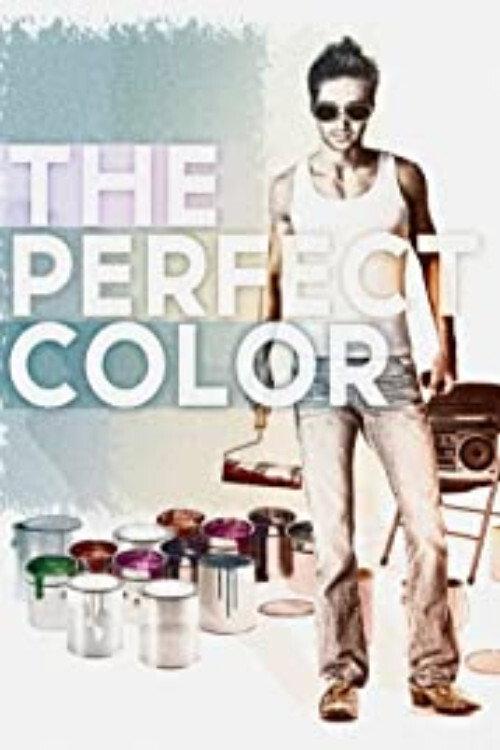 The Perfect Color 2014 official movie poster