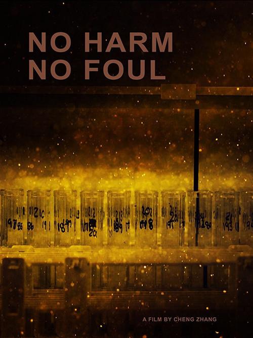 No Harm No Foul 2017 official movie poster