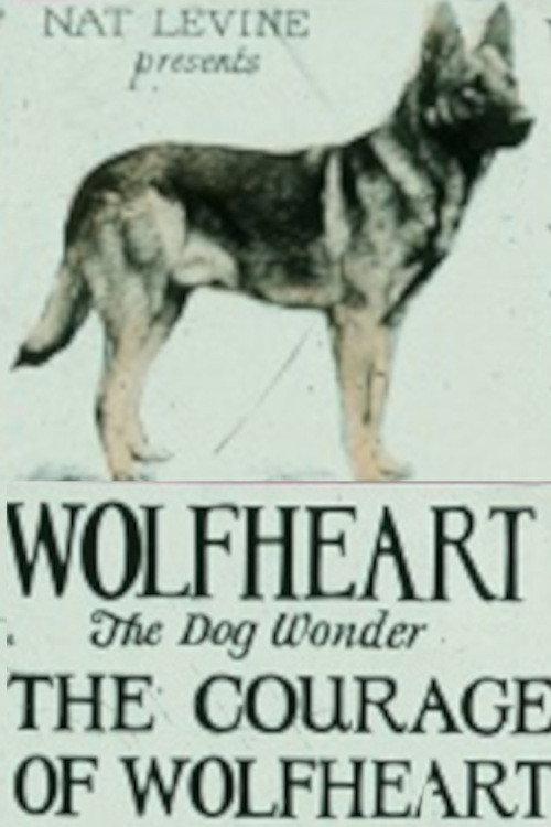 Courage of Wolfheart 1925 official movie poster