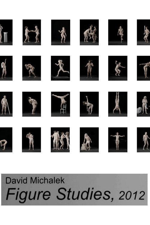 Figure Studies 2012 official movie poster