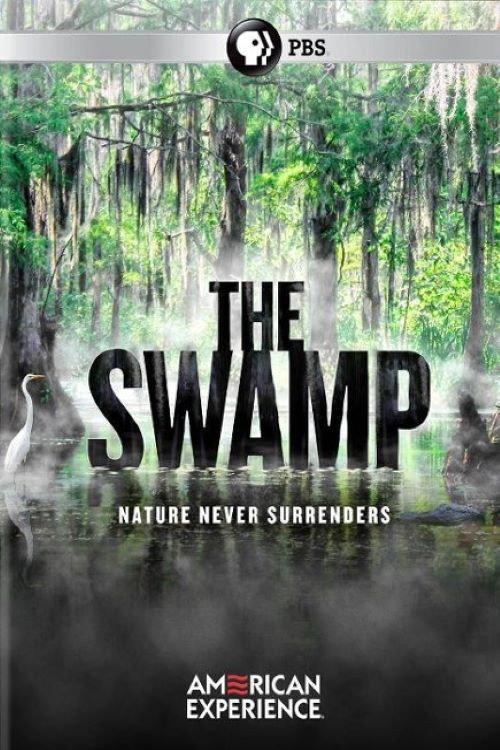 The Swamp 2019 official movie poster