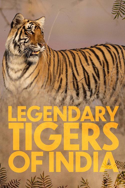 Legendary Tigers of India 2025 official movie poster