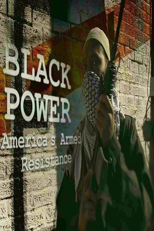 Black Power: America's Armed Resistance 2016 official movie poster