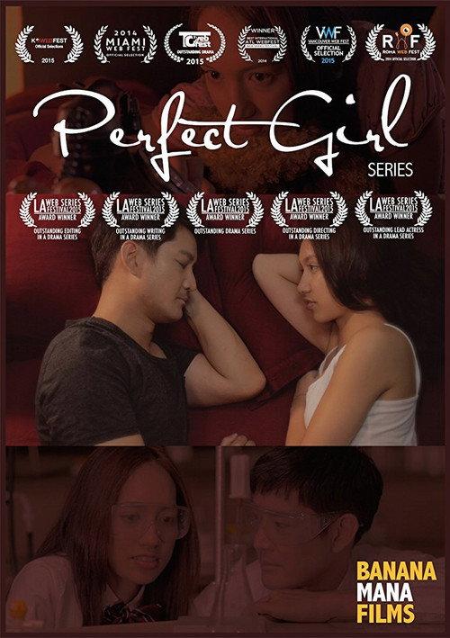 Perfect Girl 2014 official movie poster