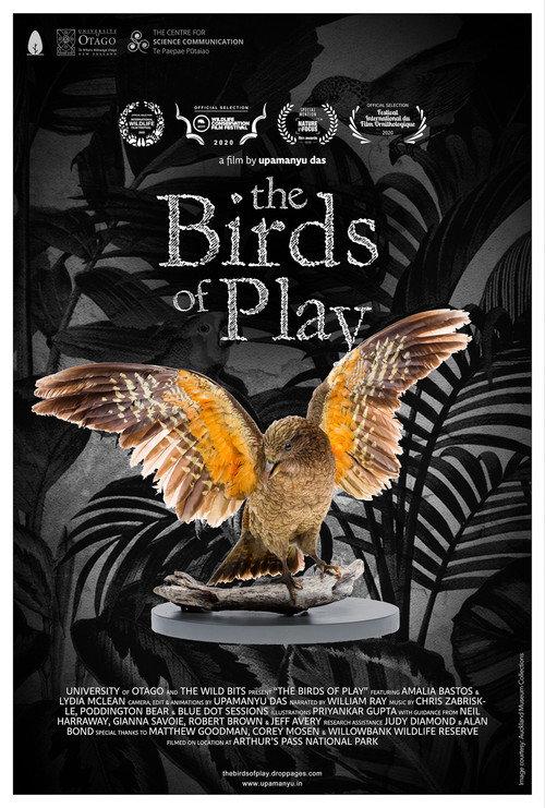 The Birds of Play 2019 official movie poster