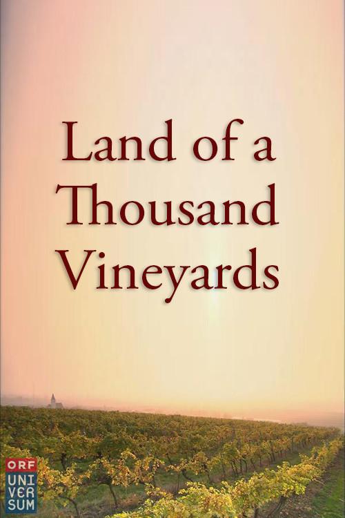 Land of a Thousand Vineyards 2000 official movie poster