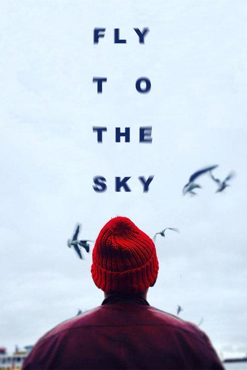 Fly To The Sky 2015 official movie poster