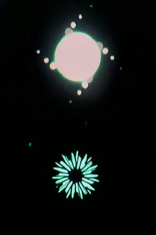 Light Activation Feedback 2010 official movie poster