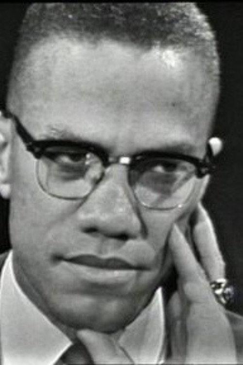 The Negro and the American Promise 1963 official movie poster