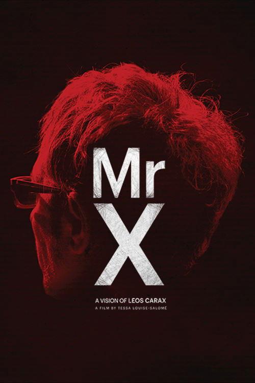 Mr. X 2014 official movie poster