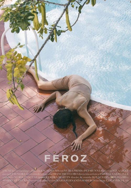 Feroz 2019 official movie poster