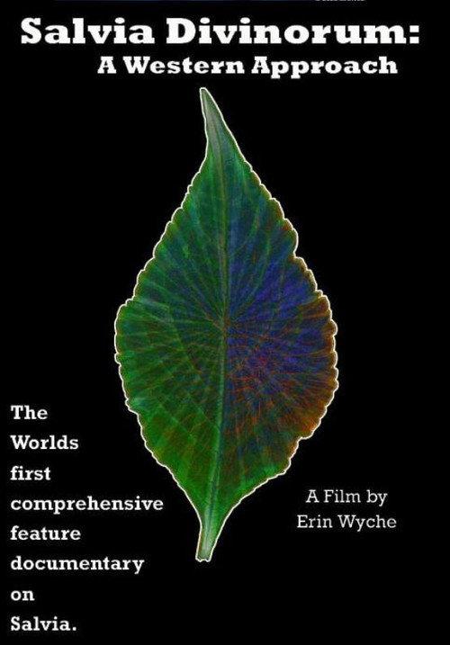 Salvia Divinorum: A Western Approach 2022 official movie poster
