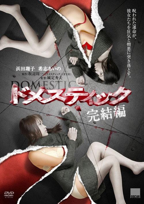 Domestic Complete Edition 2011 official movie poster