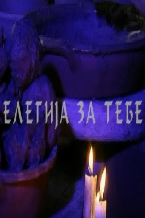 An Elegy for You 2007 official movie poster