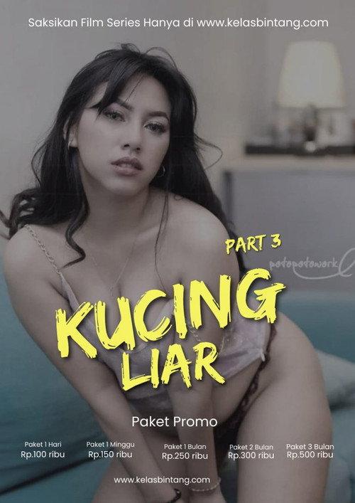 Kucing Liar Part 3 2023 official movie poster