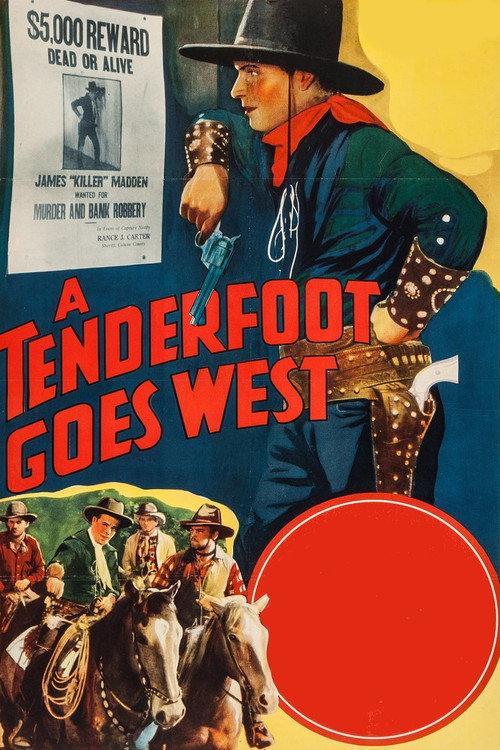 A Tenderfoot Goes West 1936 official movie poster