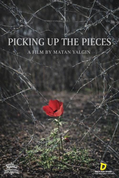 Picking Up the Pieces 2024 official movie poster