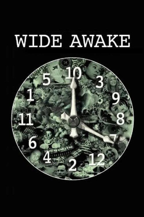 Wide Awake 2006 official movie poster