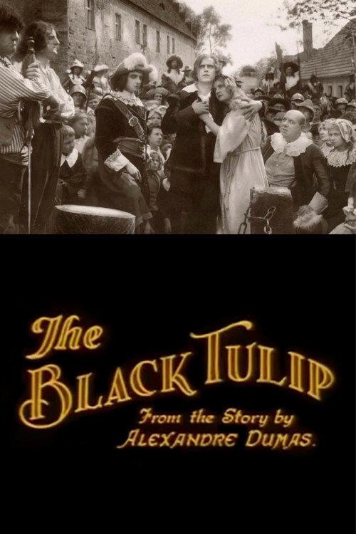 The Black Tulip 1921 official movie poster