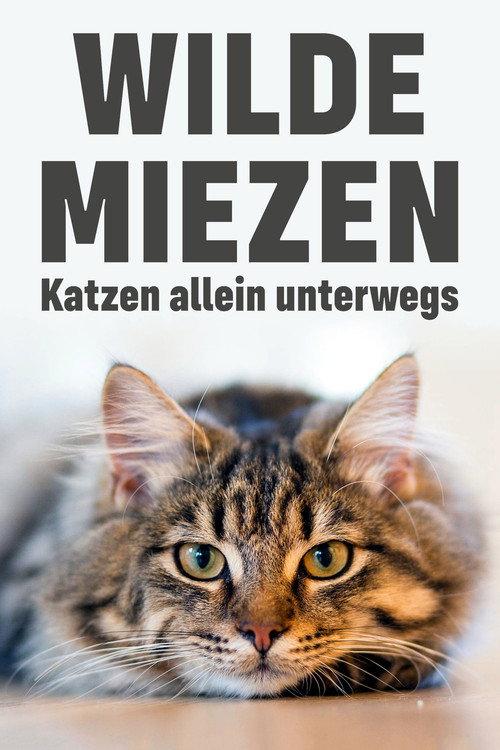 Wilde Miezen - Katzen allein unterwegs 2017 official movie poster