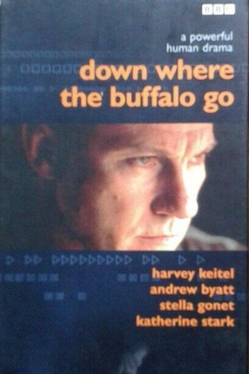 Down Where the Buffalo Go 1988 official movie poster