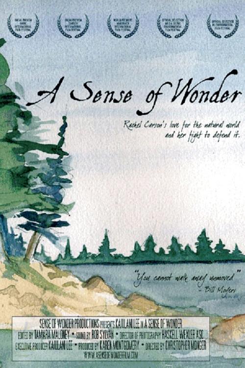 A Sense of Wonder 2008 official movie poster