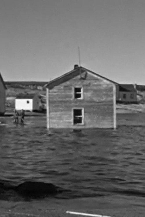 Whalehead 1963 official movie poster