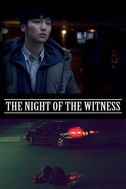 The Night of the Witness 2012 official movie poster