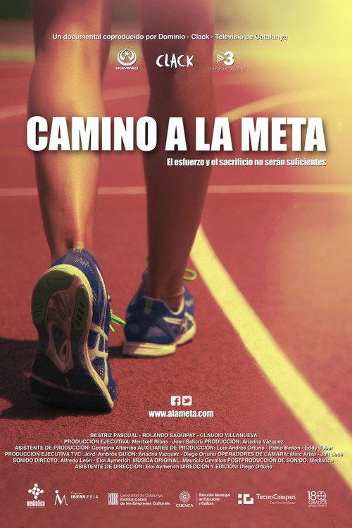 Camino a la meta 2013 official movie poster