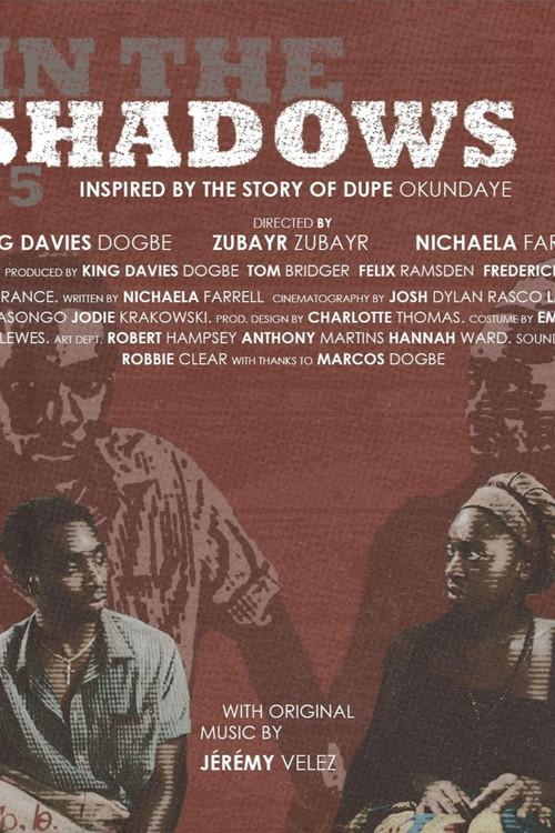 In The Shadows 75 2026 official movie poster