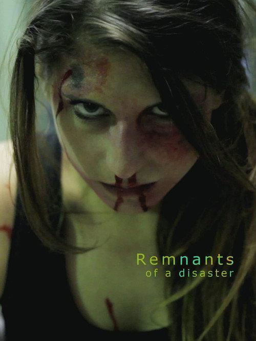 Remnants of a Disaster 2014 official movie poster