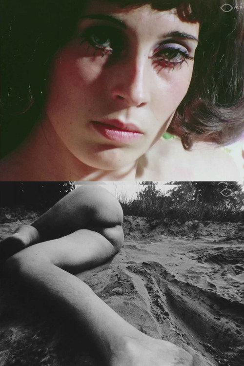 film fragments 2015 official movie poster