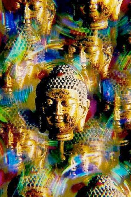 Many Buddhas 2008 official movie poster