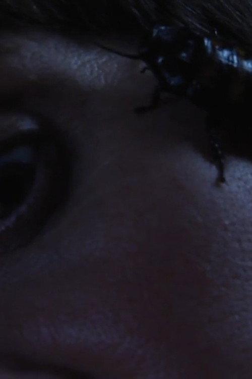 Bug Complex 2012 official movie poster