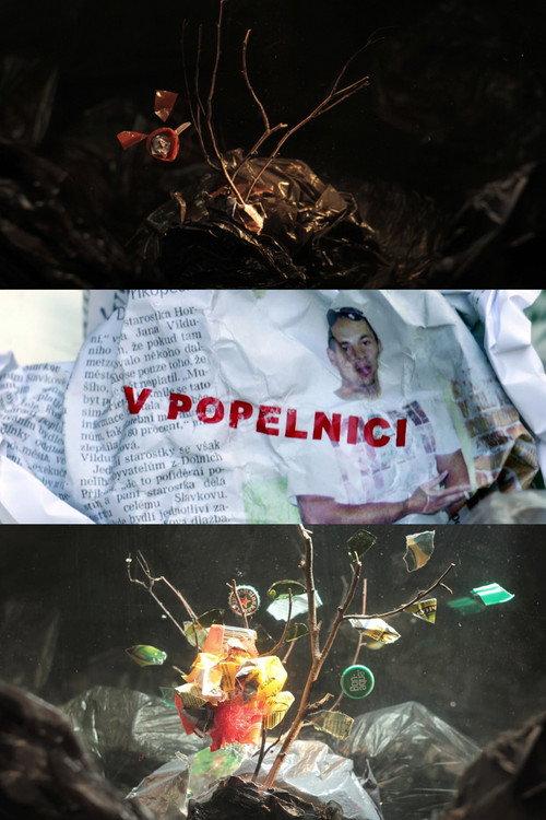 In a Dumpster 2018 official movie poster