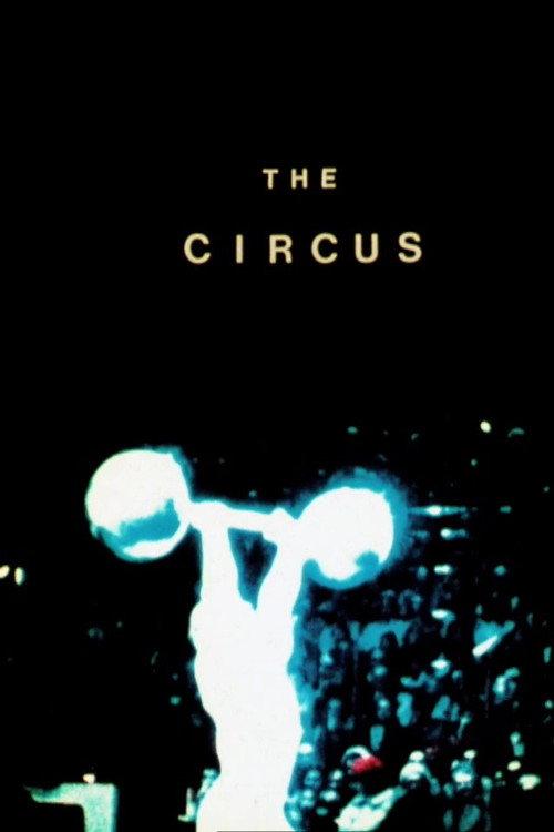The Circus 1977 official movie poster